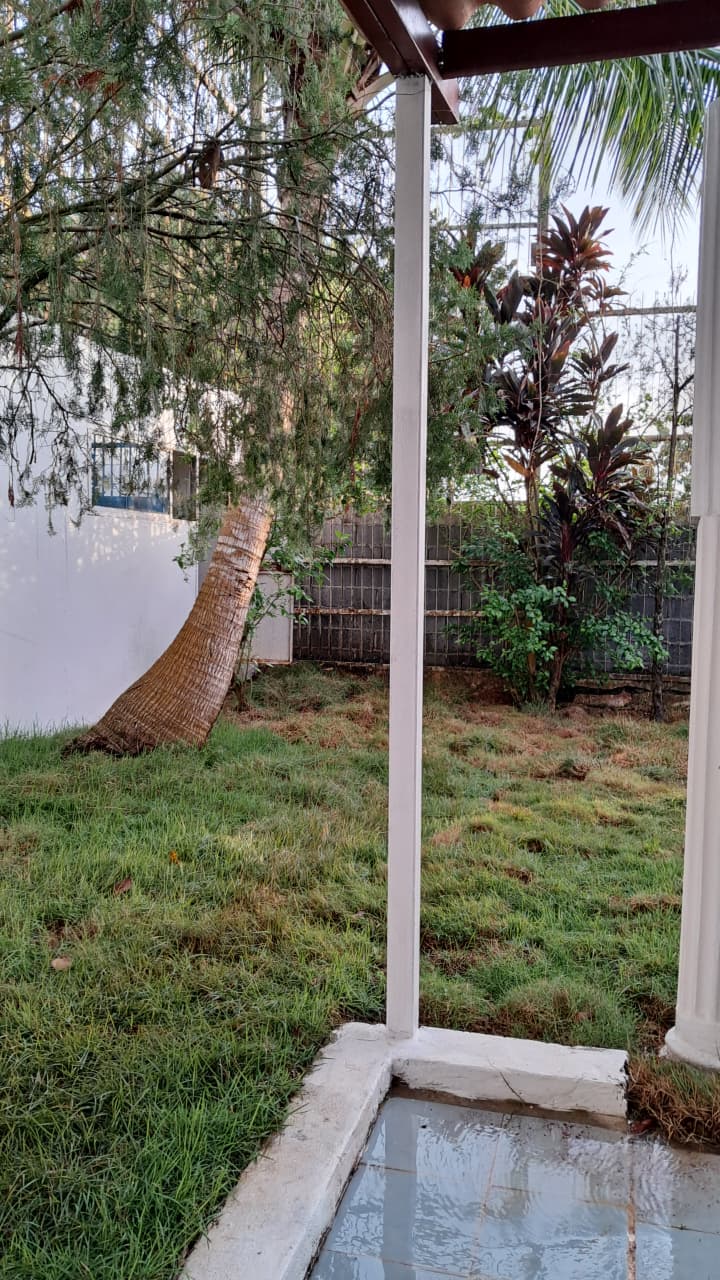 Piscina y área verde con palmeras