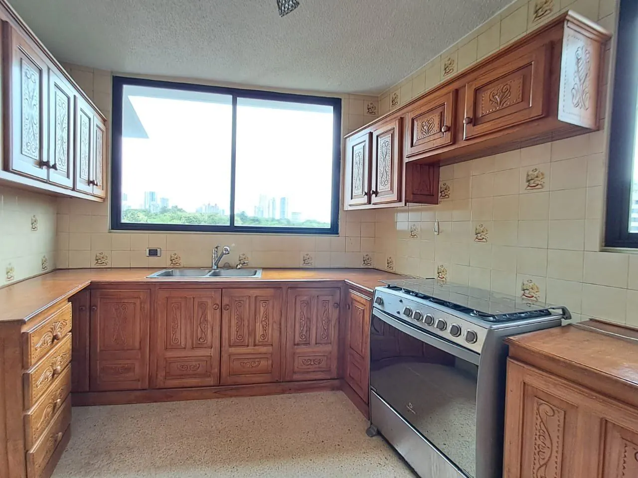 Cocina amplia con gabinetes de madera y estufa a gas