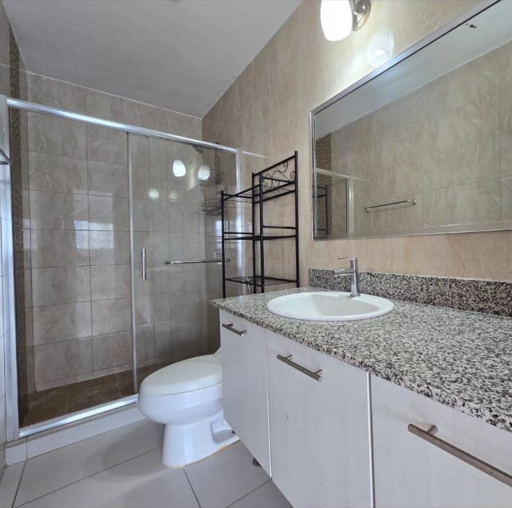 Tee One, San Francisco &mdash; Ba&ntilde;o con tope de granito